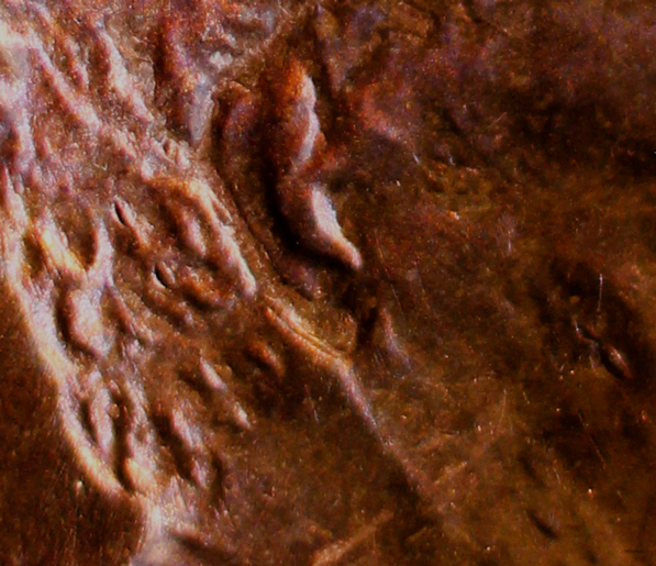 New-Variety-1974-D-DDO-Doubled-Ear?